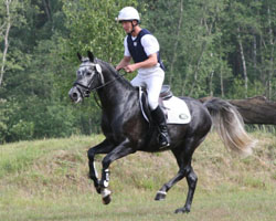 Der Ponyhengst Hearam v. Honeymoon Star in gutem Bergaufgalopp und auf das nächste Hinder konzentriert. Der Ponyhengst Hearam v. Honeymoon Star in gutem Bergaufgalopp und auf das nächste Hinder konzentriert.